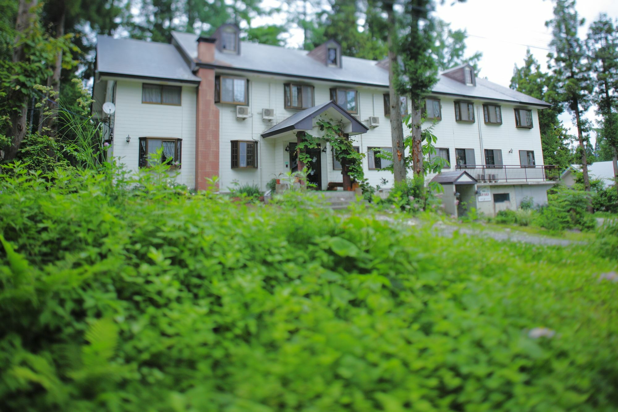 Hakubagoryu Pension&Logcottage Arumu Exteriér fotografie